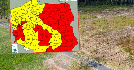 Dramatyczna sytuacja w lasach. Przypomina o zasadzie 100 metrów
