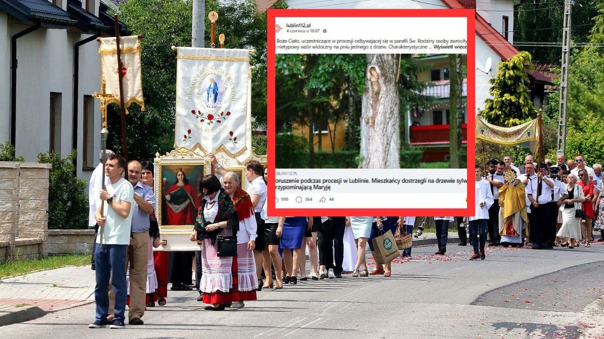 Sylwetka przypominająca Maryję na drzewie 