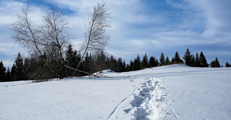 Problemy turystów w Beskidach. Goprowcy na ratunek