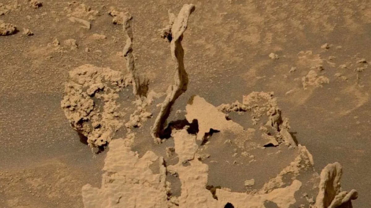 (JPL-Caltech/MSSS) Co zostało uchwycone na tym zdjęciu? Wykonał je łazik należący do NASA