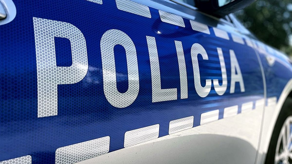 Międzynarodowa szajka oszustów rozbita [zdj. ilustracyjne]