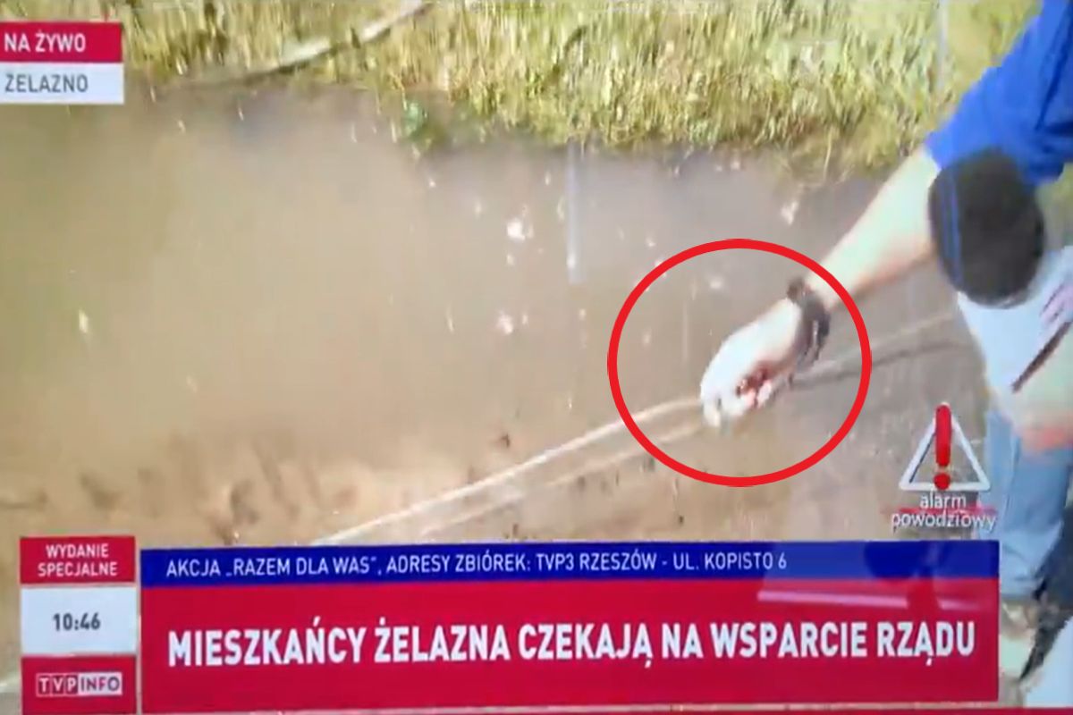 Dziennikarz podczas relacji na żywo chwycił za mokre kable