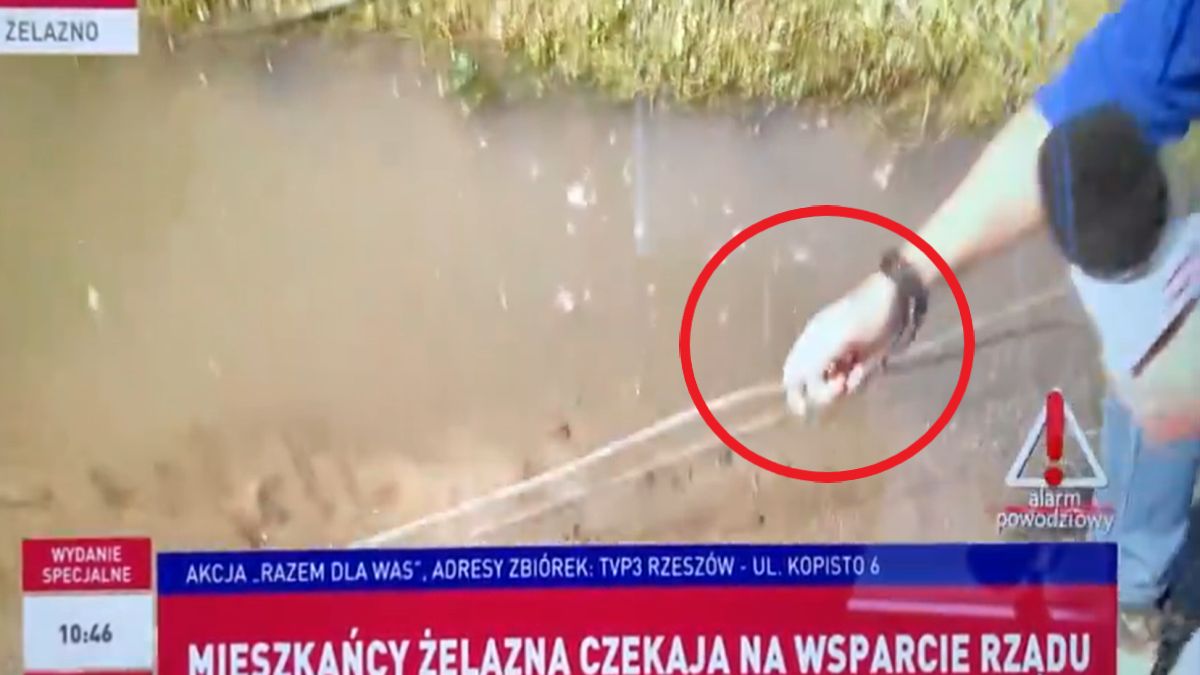Dziennikarz podczas relacji na żywo chwycił za mokre kable