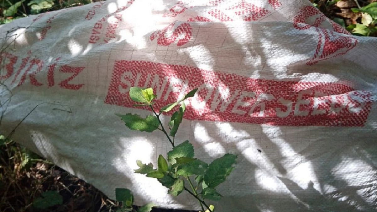 Trwają poszukiwania osoby, która wyrzuciła psa.