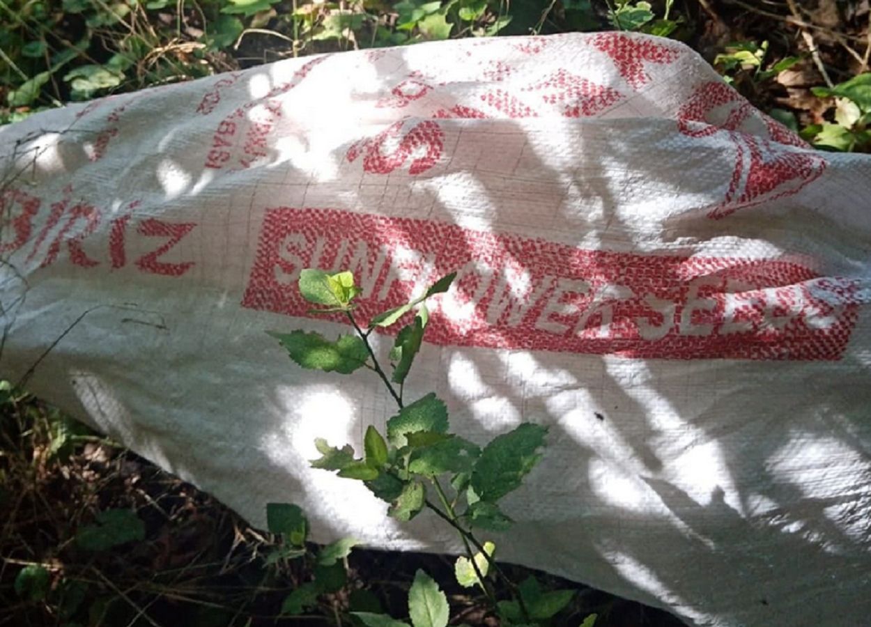 Trwają poszukiwania osoby, która wyrzuciła psa.