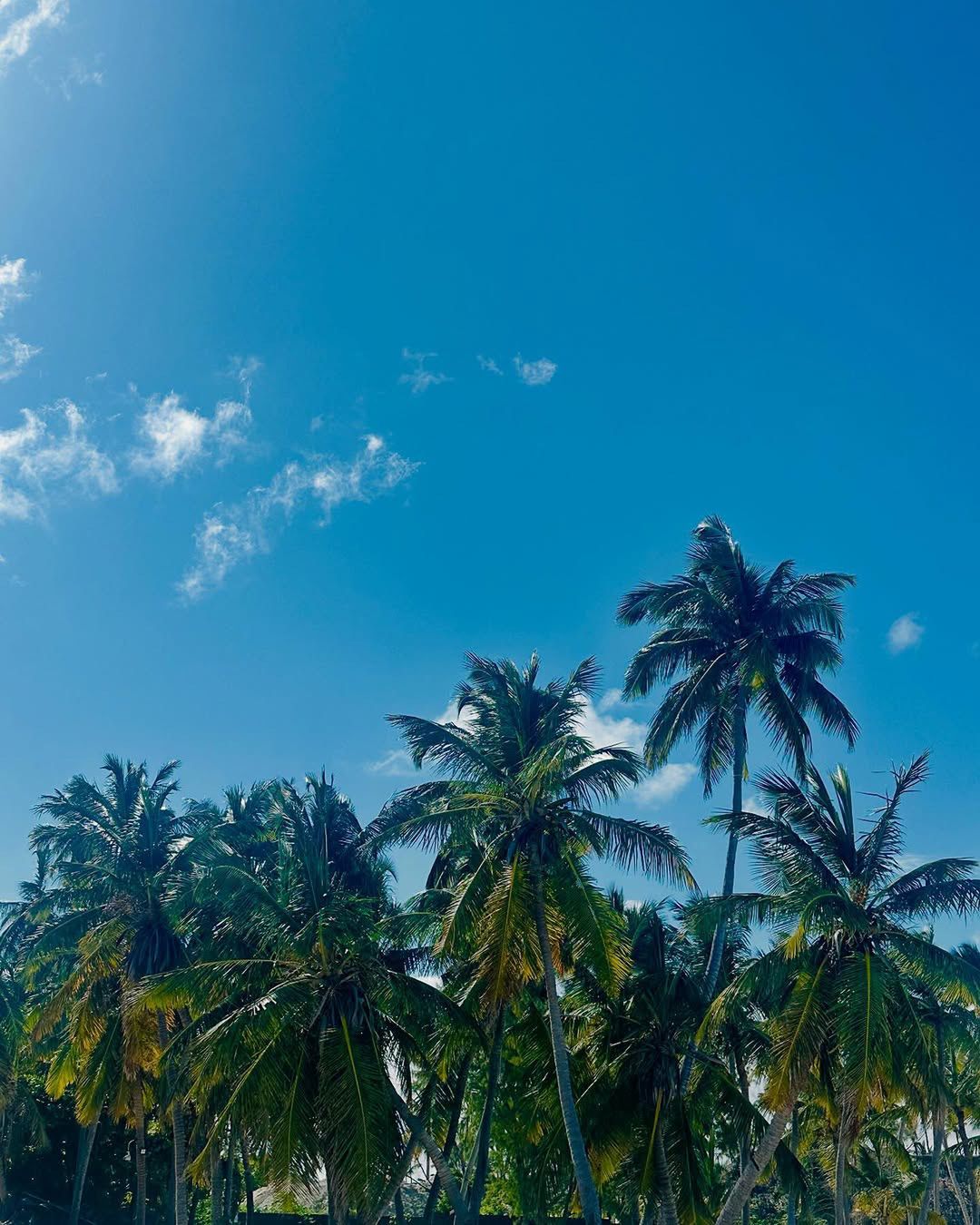 Agnieszka Hyży w tropikach