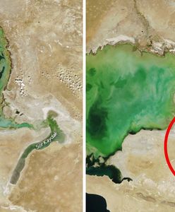 Poziom wody spadł znacząco. "Historyczne minimum" w morzu