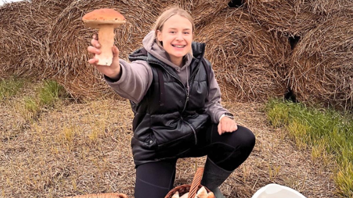 Grzybiarka znalazła ponad 170 sztuk grzybów.