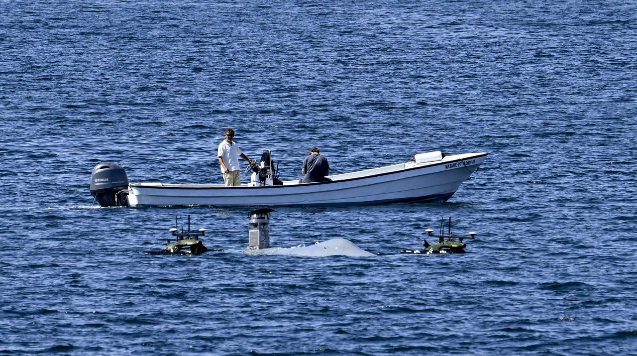 Masowa ucieczka z ośrodka w Portugalii. Marokańscy migranci zniknęli