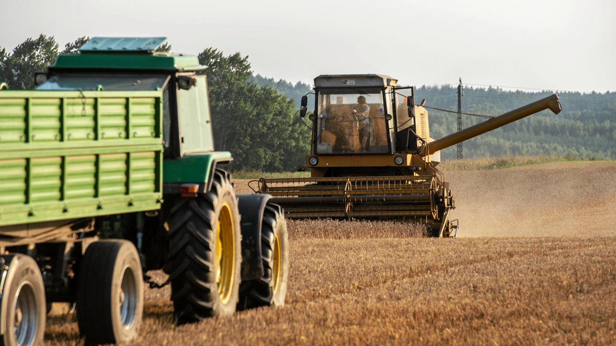 W Polsce miał powstać terminal do przesyłu zboża z Ukrainy 