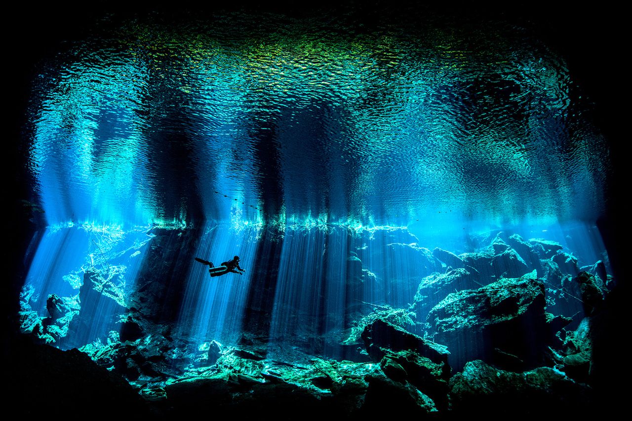 Brytyjskim Podwodnym Fotografem Roku został Nick Blake za zdjęcie przedstawiające nurka i odbicie podmorskiej toni od wewnętrznej strony wody. Ten bajeczny obraz przenosi odbiorcę wręcz do innego wymiaru – nie tylko fotografii, ale i doznań estetycznych.