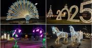 Włocławek: Iluminacje świąteczne 2025 - są nowe dekoracje
