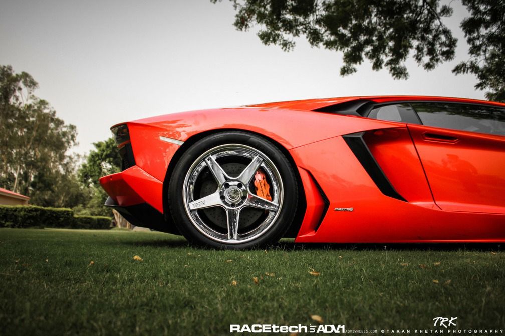 Lamborghini Aventador, felgi ADV.1 i słoń - niecodzienna sesja zdjęciowa [galeria] 6