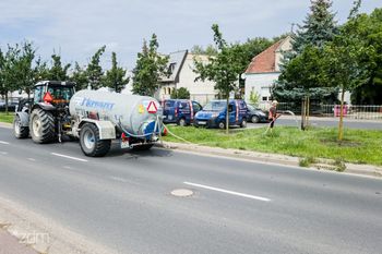 Poznań: Deszcz, który nie wystarcza. Dlaczego podlewa się drzewa nawet w deszczowe dni?