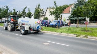 Poznań: Deszcz, który nie wystarcza. Dlaczego podlewa się drzewa nawet w deszczowe dni?