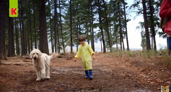 "Woda z serca Mazur" - ruszyła kampania Kubuś Waterrr