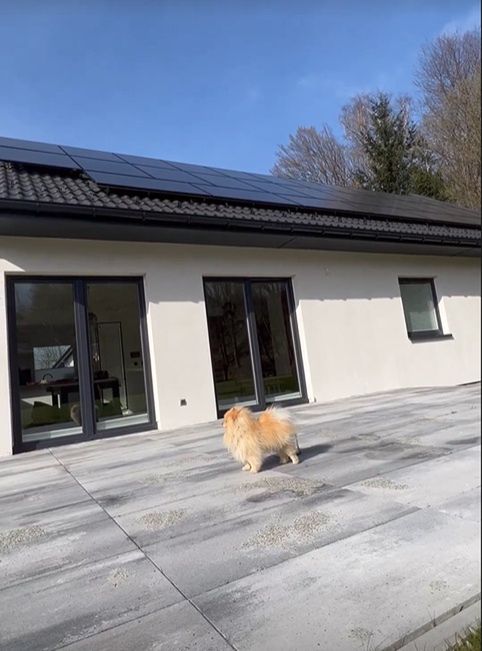 Nowy dom Żyły i Ziętek