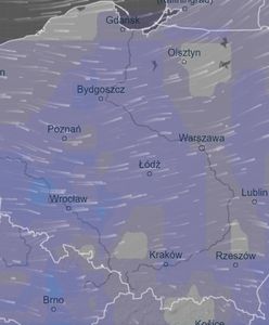 Burze niemal w całej Polsce. Grad, ulewne deszcze i silny wiatr. IMGW wydało ostrzeżenia