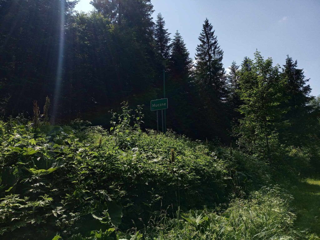 szlak przez grzbiet jeleniowaty