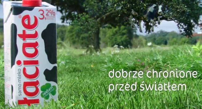 Krowa pod i na drzewie reklamuje mleko Łaciate (wideo)