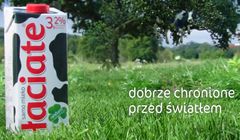 Krowa pod i na drzewie reklamuje mleko Łaciate (wideo)