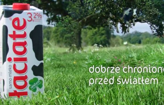 Krowa pod i na drzewie reklamuje mleko Łaciate (wideo)