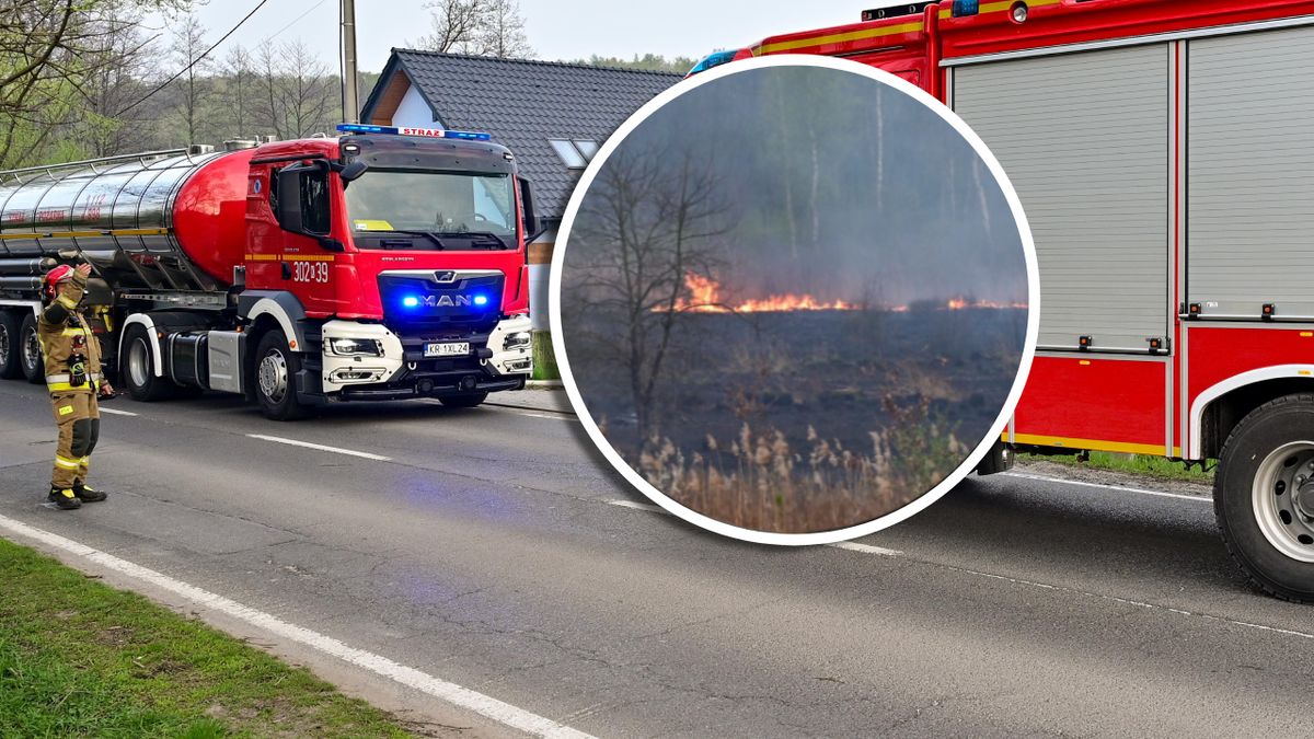 Rząd chce podwyższyć kary za podpalenia, w tym za wypalanie traw