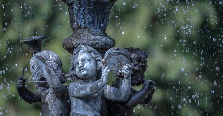 GIS i straż miejska biją na alarm. Nawet 500 zł kary
