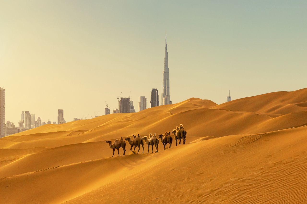 Rezygnacja z wyjazdu z obawy przed wojną. Kiedy można odstąpić od umowy?