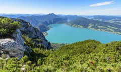 Tragedia w Austrii. Nie żyje Polka