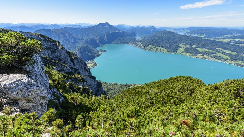 Travel Collection 01-05/2021
Mountain pines in the H?llengebirge and view of the Attersee, the Schafberg and the Mondsee in the Salzkammergut, Austria
Radler-Woss, Alois