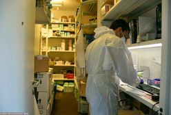 Nowy wariant koronawirusa odkryty w Europie