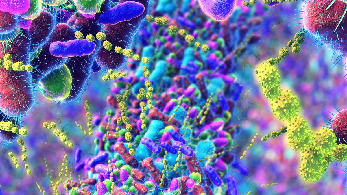 Zbadali mikrobiom sprzed 1000 lat - zdjęcie ilustracyjne