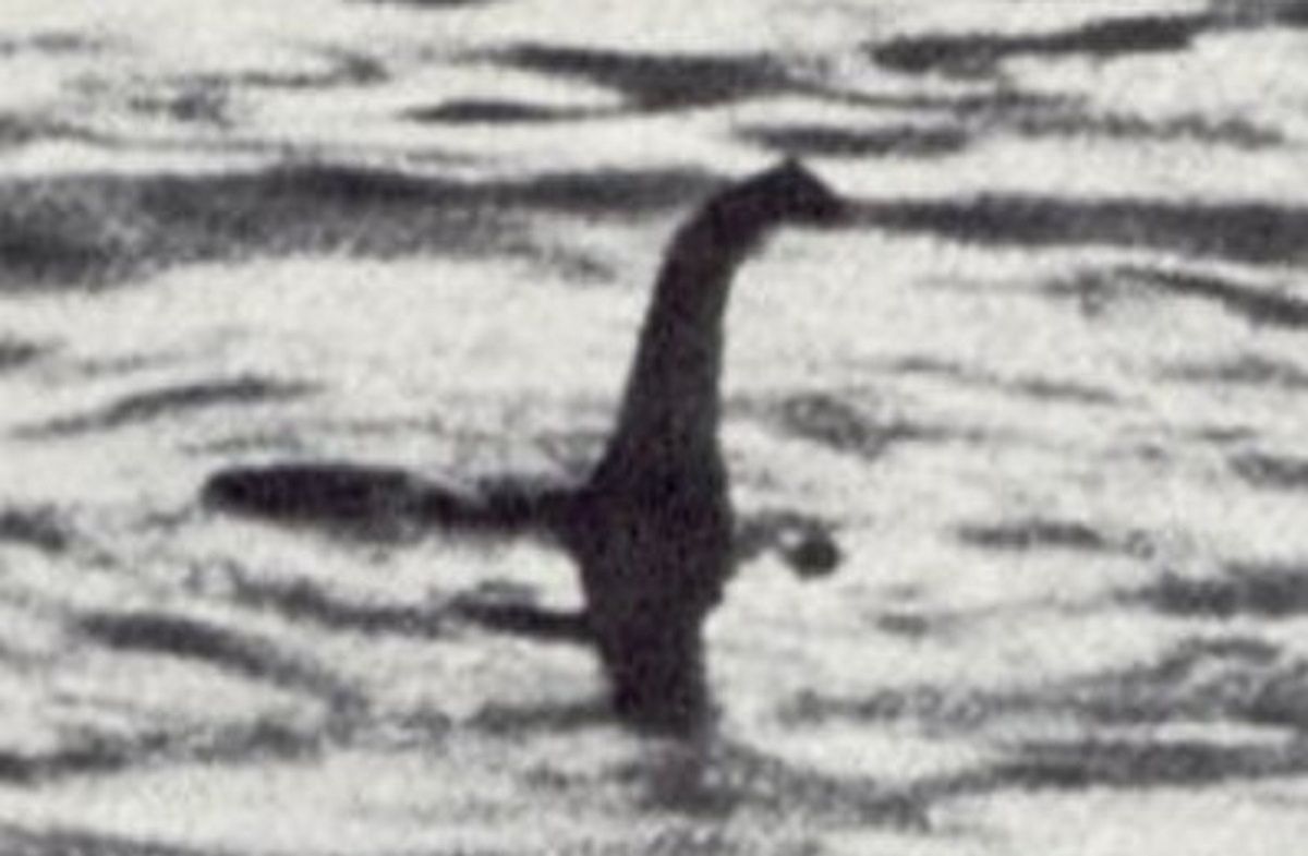 Szukali potwora z Loch Ness. Twierdzą, że coś nagrali
