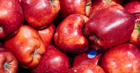 Szelak – prześwietlamy popularny składnik produktów spożywczych