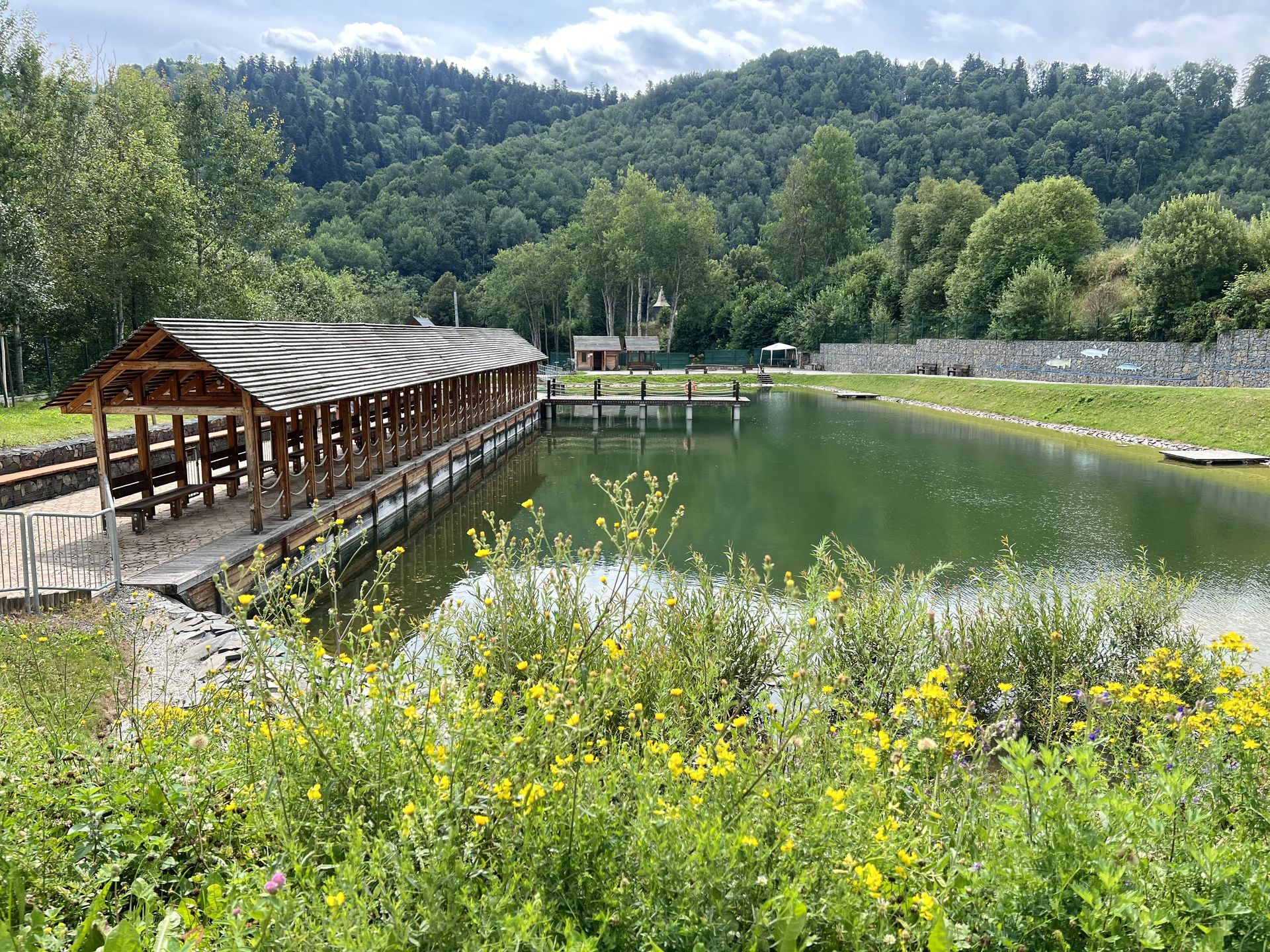 Biokoupalisko, czyli naturalny basen