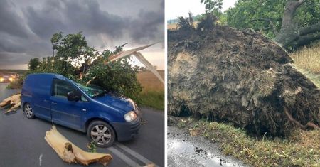 Potężny żywioł nad Polską. Powalone drzewa i pozrywane dachy