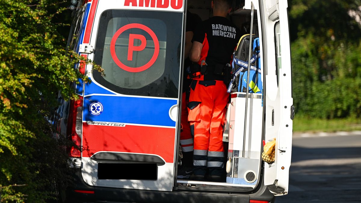 Daily Life In Krakow
KRAKOW, POLAND  AUGUST 11:
Paramedics ready their equipment and prepare for a medical response in Krakow, Lesser Poland Voivodeship, Poland, on August 11, 2025. (Photo by Artur Widak/NurPhoto via Getty Images)
NurPhoto
life-saving, medical readiness, medical intervention, health services, public safety, poland healthcare, crisis response, artur widak, rescue operation, emergency readiness, emergency medical services, disaster response, emergency preparedness, emergency responders, first responders, emergency services, urban emergency., preparedness, healthcare professionals, medical assistance, emergency care, ambulance crew, emergency situation, medical response, nurphoto, august 11, daily life, medical support, healthcare workers, medical team, healthcare, paramedics