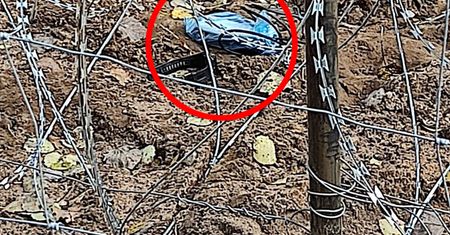 Bomba na granicy z Białorusią? Straż Graniczna o prowokacjach