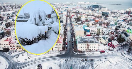 Atak zimy na Islandii. Tyle śniegu nie było od ponad 100 lat