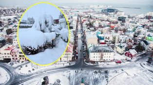 Atak zimy na Islandii. Tyle śniegu nie było od ponad 100 lat