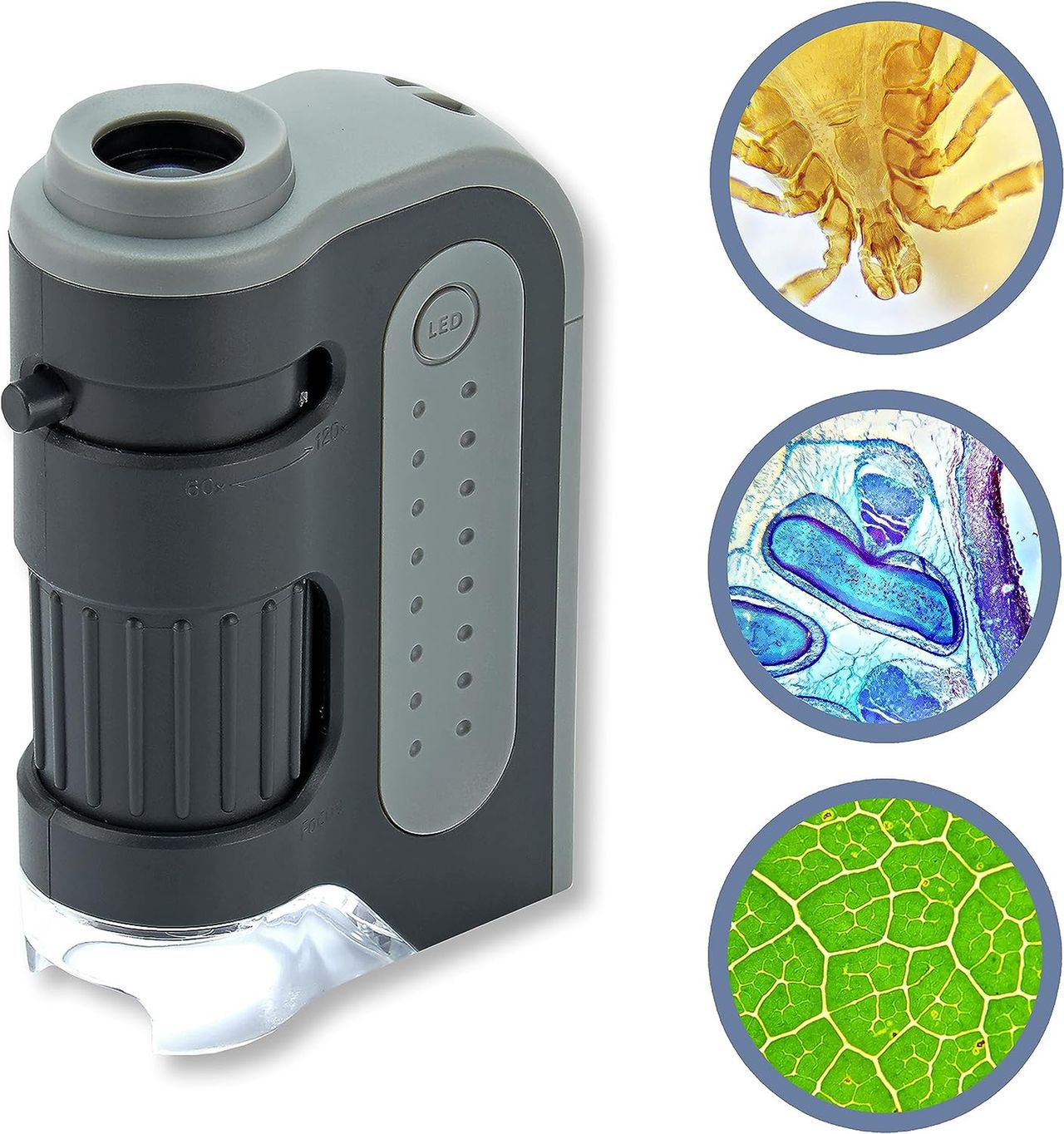 Carson MicroBrite Plus 60x-120x LED Lighted Pocket Microscope
