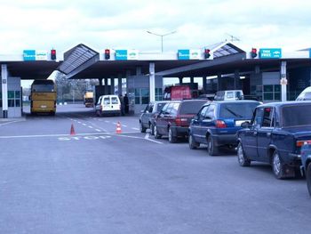 Pojazdy z bydłem i trzodą pod ścisłą kontrolą. MRiRW o procedurach granicznych