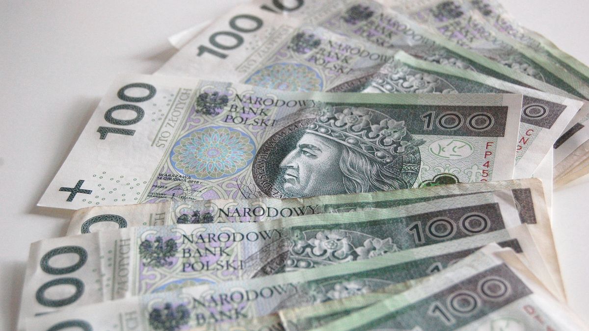 500 plus ma w 2024 roku wzrosnąć do 800 złotych