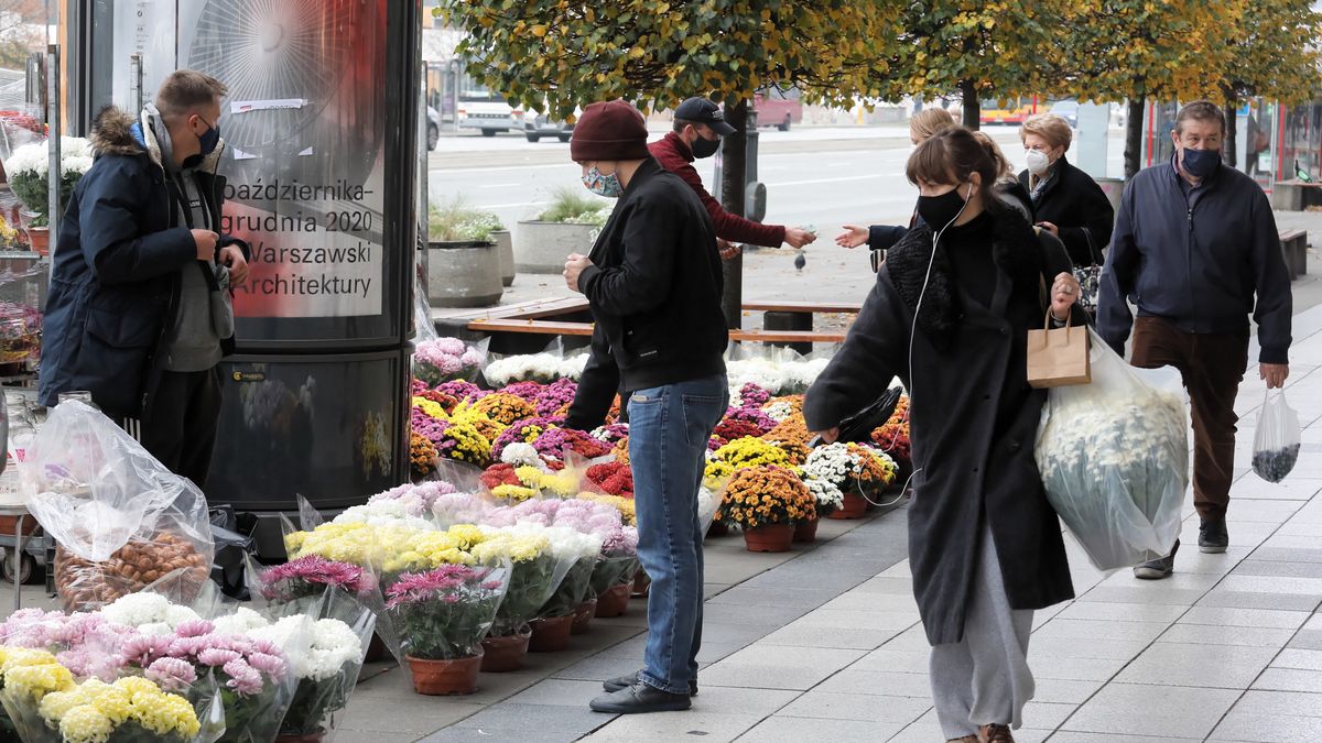 Jaka pomoc dla sprzedawców chryzantem? Wciąż nie wiadomo