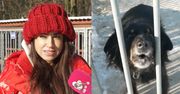 Razem z Mają Hyży odwiedziliśmy Schronisko dla Bezdomnych Zwierząt w Celestynowie. "Świadoma adopcja to podstawa" (WIDEO)