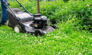 Kosisz trawę w weekend? Oto co mówi prawo