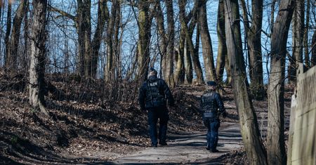 Susza i pożary. Nadleśnictwo Świeradów wydało pierwszy zakaz wstępu do lasu