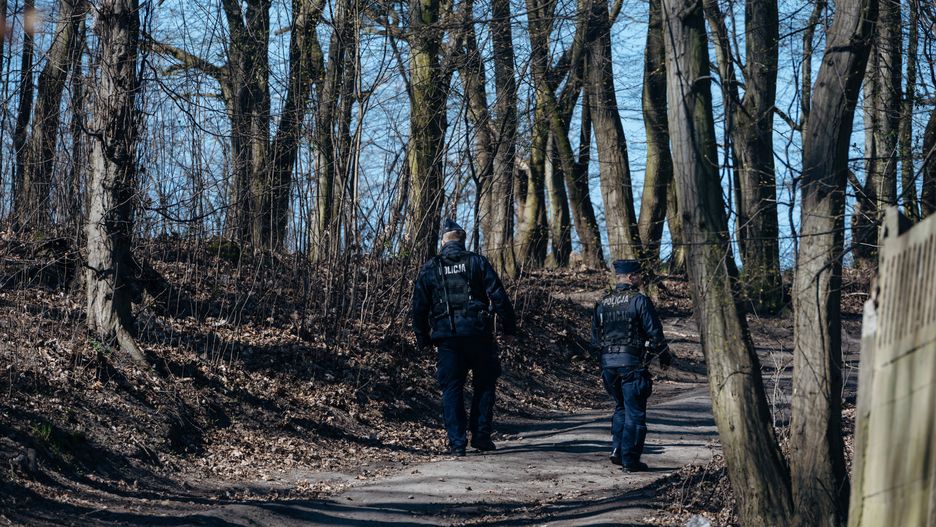 Susza może doprowadzić do pożarów w lasach. Nadleśnictwo Świeradów wprowadziło pierwszy zakaz wstępu