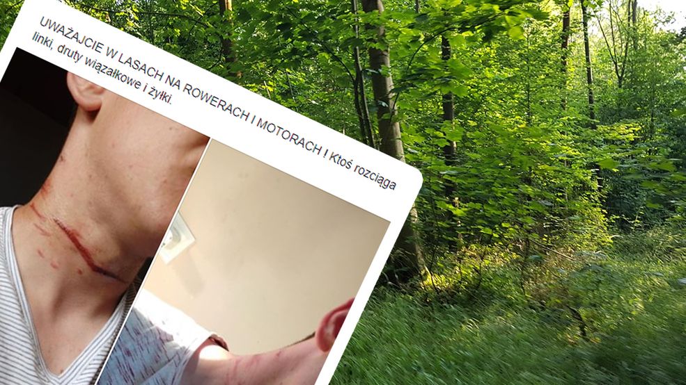 Linka rozciągnięta między drzewami to śmiertelne niebezpieczeństwo.